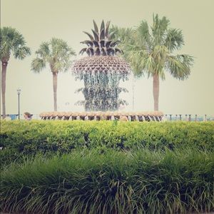 Meet your Posher, Jovany